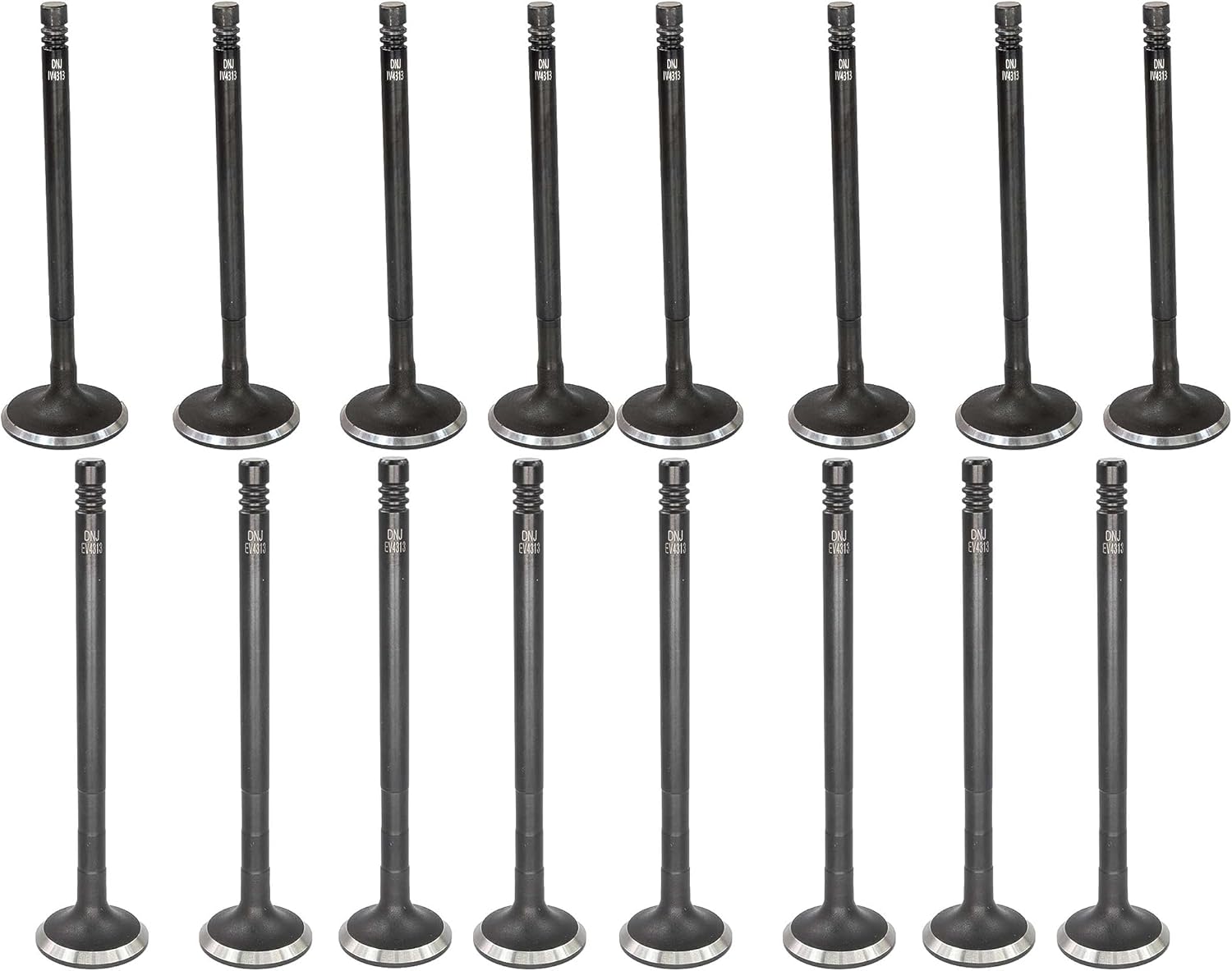 DNJ VK164313 Exhaust Intake Valve Kit for 2011 to 2017 Ford Fiesta L4 1.6L DOHC 16V EV4313 X8 IV4313 X8
