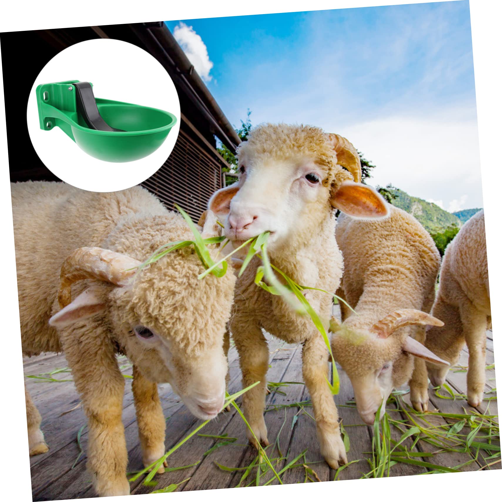 Bebedero Automático para Vacas Negro de Plástico y Hierro