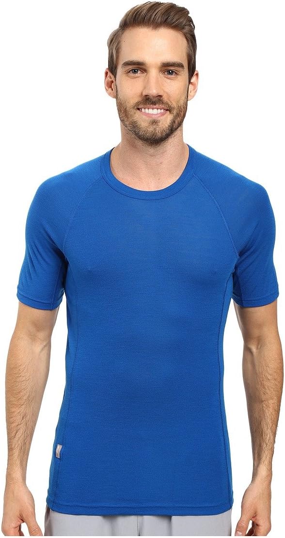 Icebreaker Merino Men's Merino Standard 175 T-Shirt