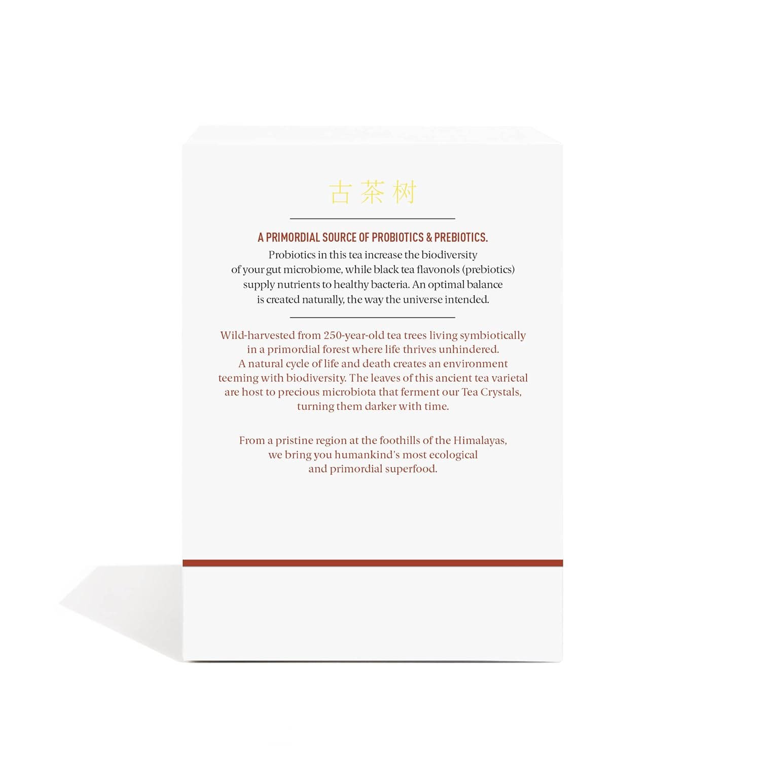 Pique Organic Fermented Black (Ripe) Pu'er Tea - Support Healthy Metabolism, Digestion - 28 Single Servings (1 Pack)