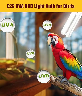 KINGYEENUO 2 Pack E26 UVA UVB Light Bulb for Birds 2.4 UVB 20W Compact Flourescent Lamp for All Kinds Captive Birds, Natural Sunlight Simulation Bird Parrot Light Bulb