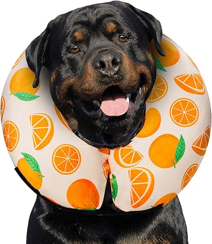 Miniatura 15 de MIDOG Inflatable Dog Cone Alternative for After Surgery - Soft Protective Donut Collar Prevents Licking, Comfortable Recovery E-Collar Alternative