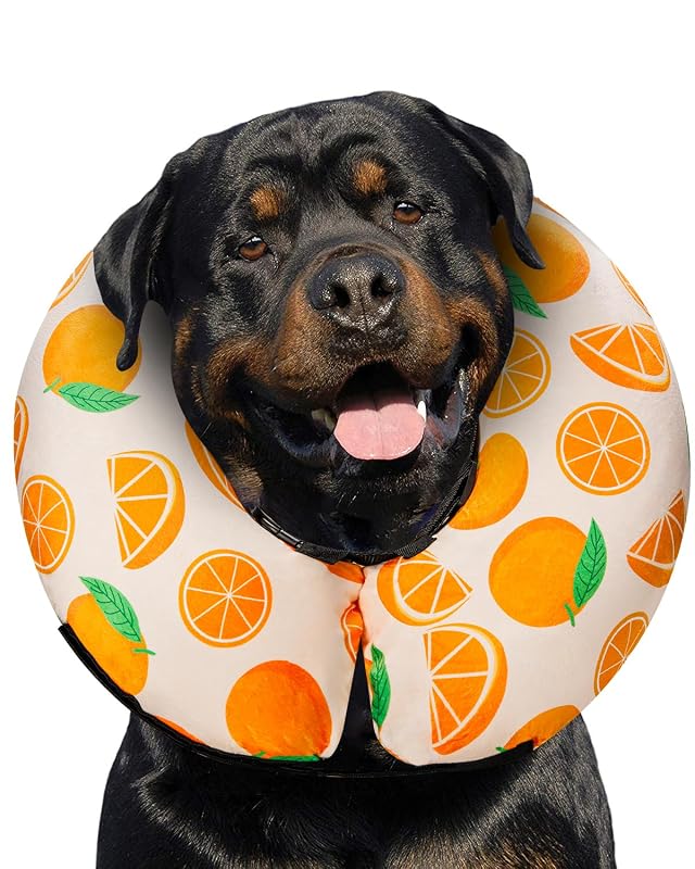Colar de recuperação inflável para cães MIDOG, modelo donut macio Tangerine, X-Large (53,34–60,96 cm)