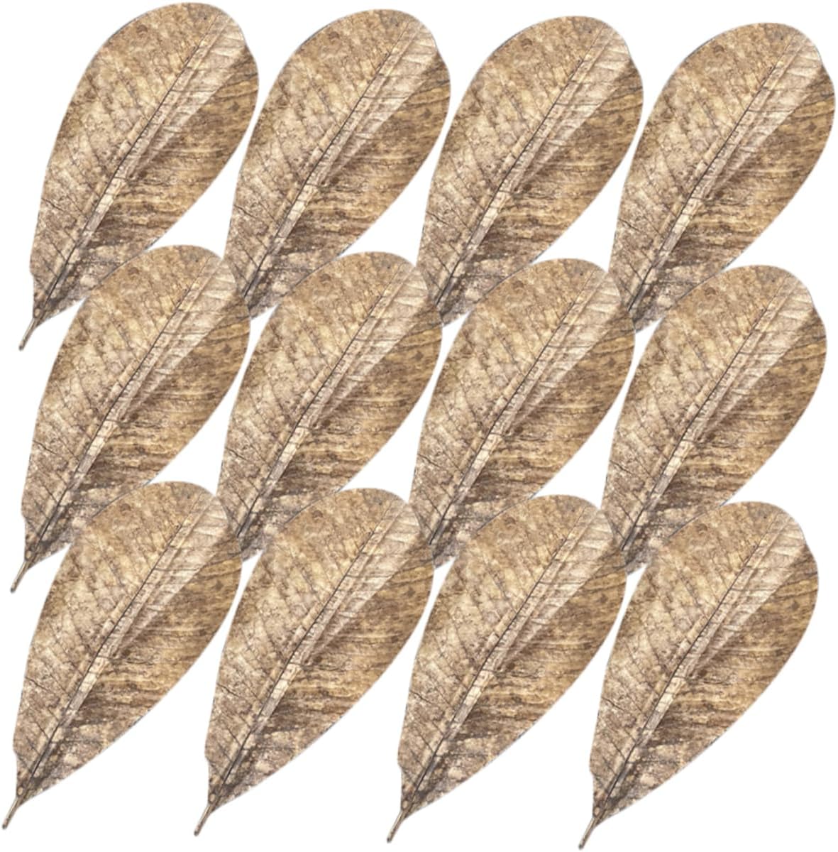 COLLBATH Dried Leaf Sushi Tray Decor 20Pcs Seafood Display Serving Plate Unique Sashimi Background Leaf Embellishments for Food Photography for Restaurants and BBQ