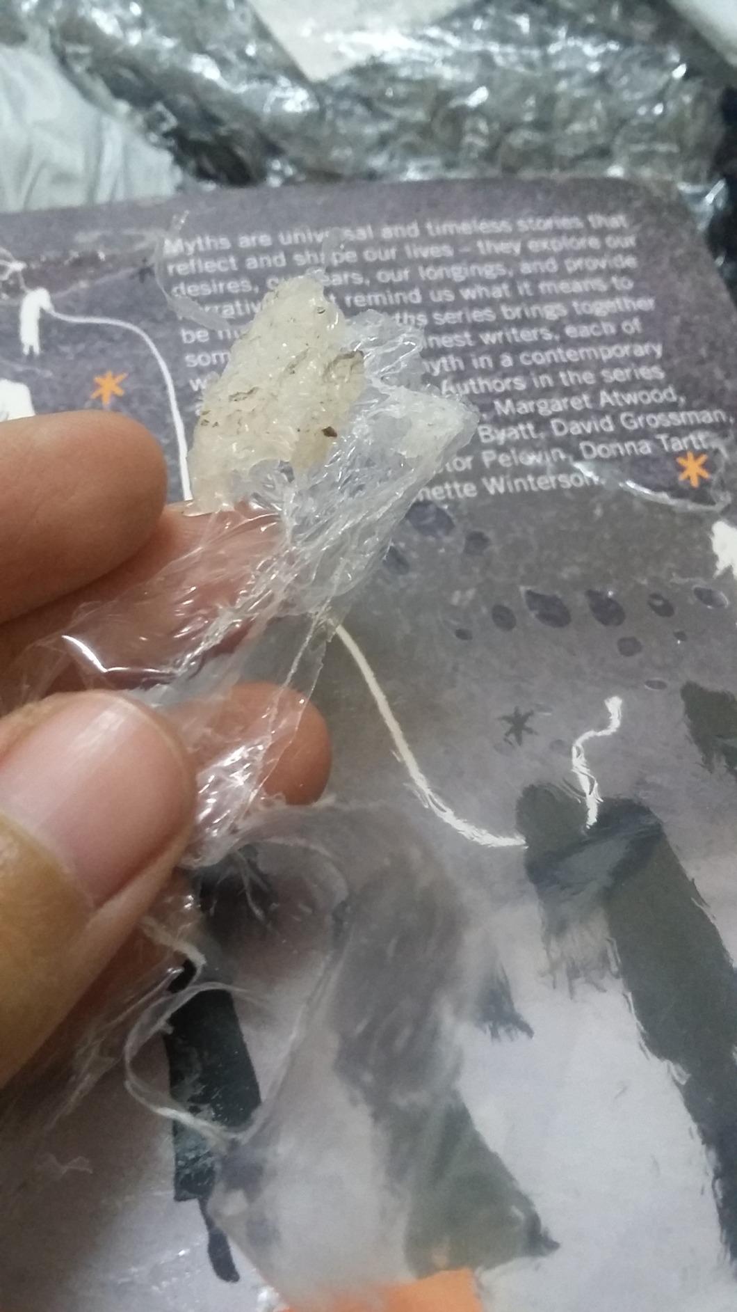 The Penelopiad The Myth of Penelope and Odysseus (Canongate Myths