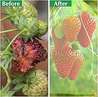 Vista 7 de Kikhope 100 bolsas de protección de frutas, bolsa de malla para cubierta de frutas de jardín de 8 x 6 pulgadas, bolsas de red de frutas con cordón