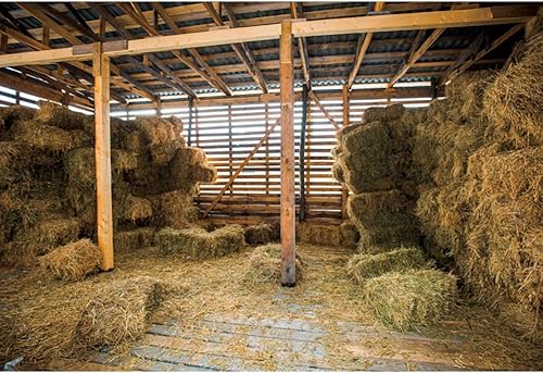 Caaerttply Telón de fondo de vaquero occidental para fotografía, telón de fondo de fotos de granero salvaje oeste, 10 x 8 pies, fondo vintage de