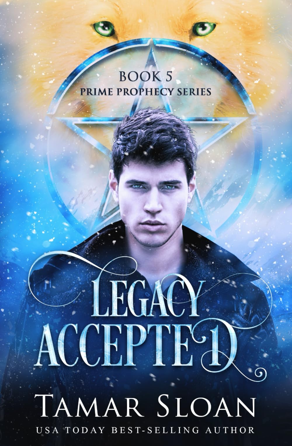 Cover of Legacy Accepted