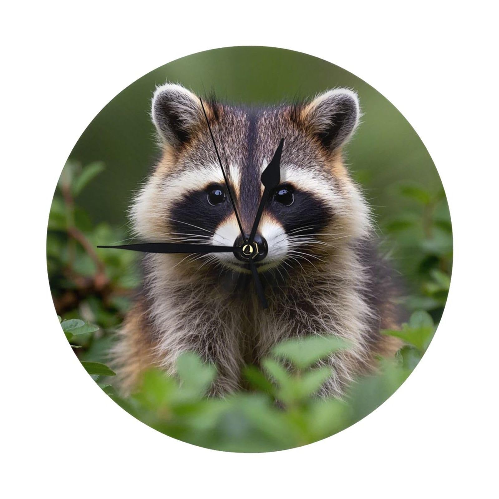 FodPand Cute Raccoon Wall Clock - 10 Inch Silent Non-Ticking Modern Wall Clocks Battery Operated - Classic Simple Minimalist Analog Round Decorative Clock for Kitchen, Home, Office