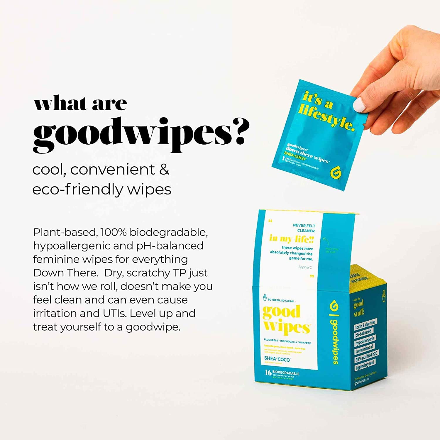 Goodwipes Down There Feminine Hygiene Wipes, Shea-Coco Scent, Individually Wrapped, Perfect for Travel, Flushable, PH Balanced and Hypoallergenic, 64 Individually Wrapped (4 Packs of 16) : Health & Household