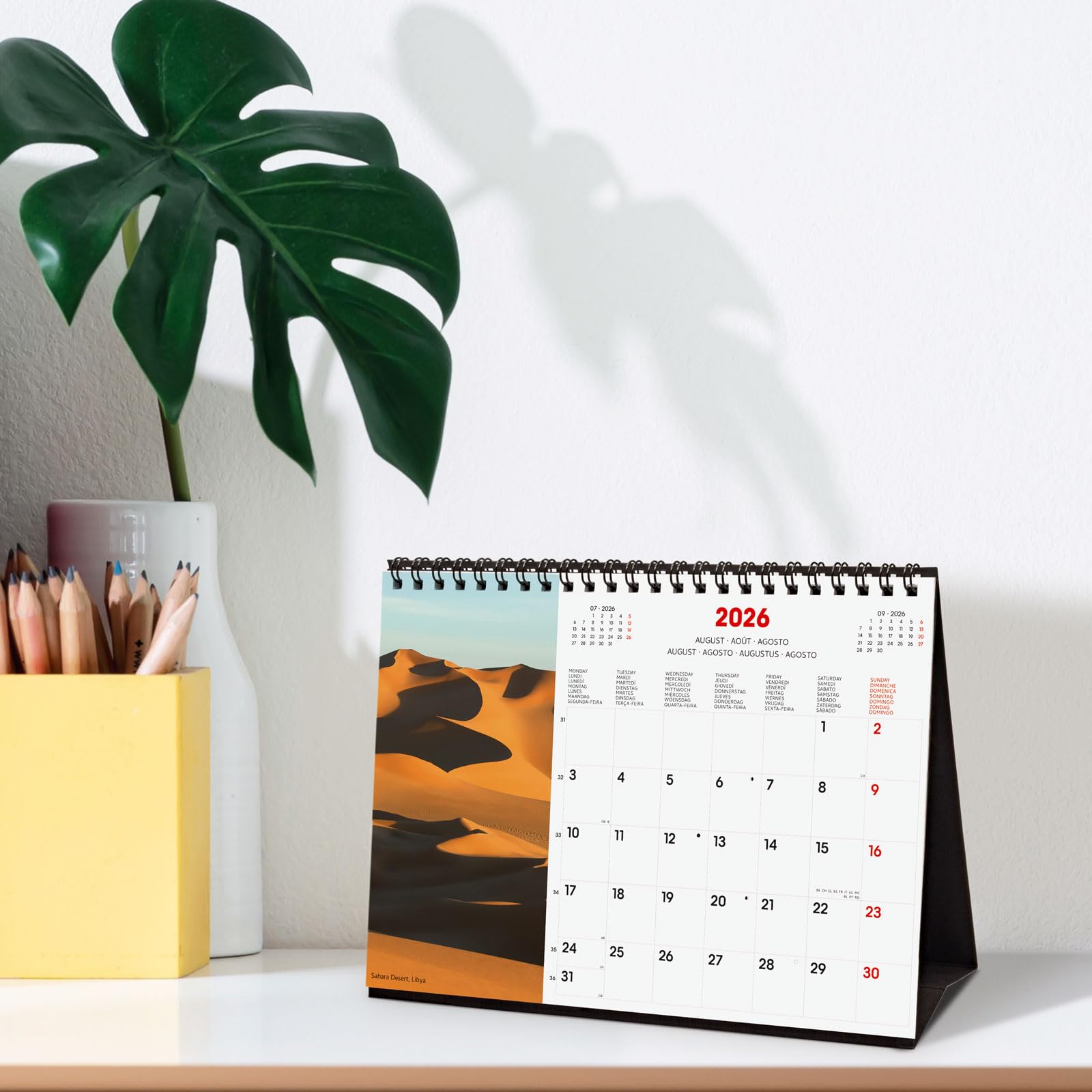 Finocam Desktop Calendar 2026 Month to View January, December 2026 + Sep-Dec 2025 (4 months) reduced, Images Nature, International
