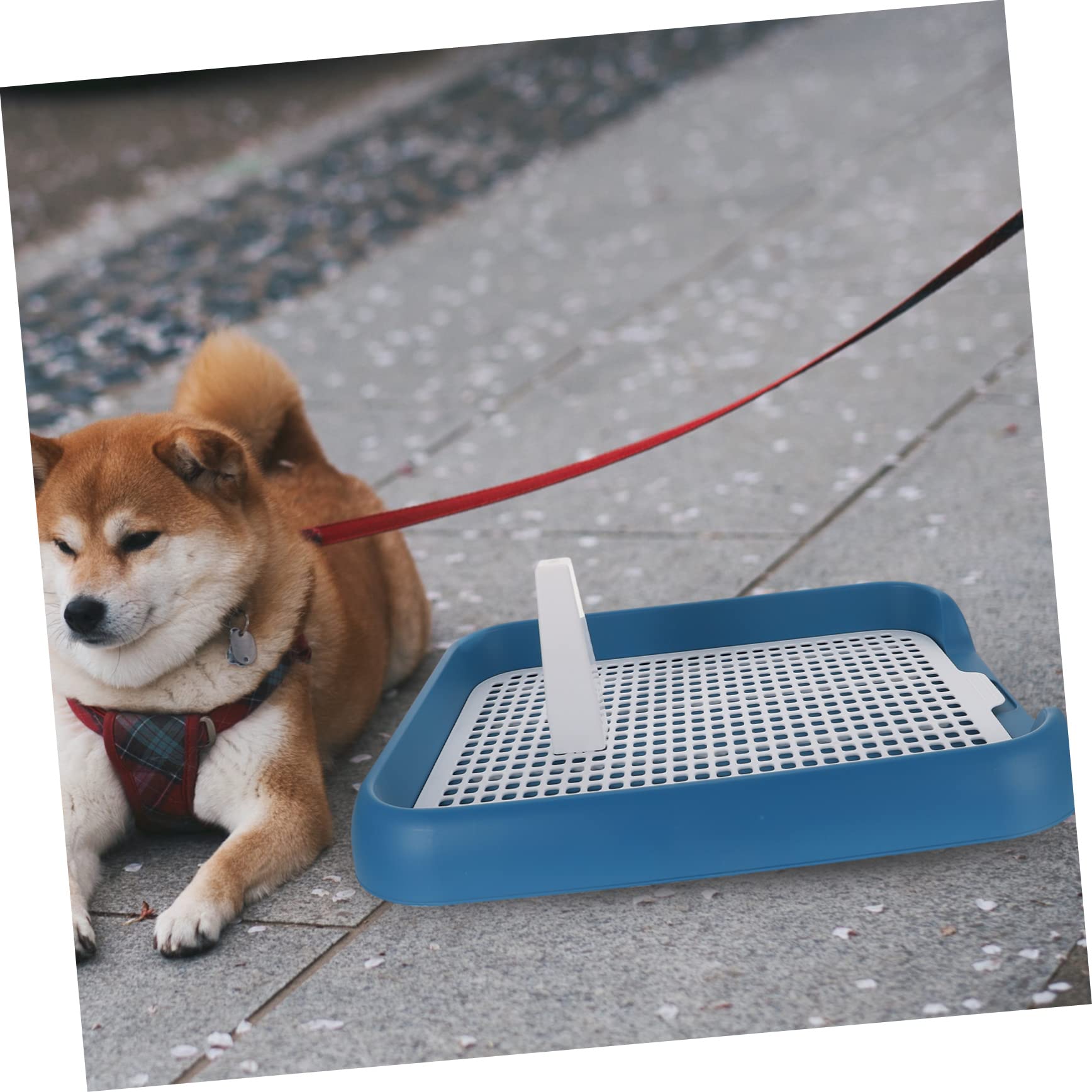 ifundom Mesh Dog Toilet Tray for Indoor Use Slip Design with Buckle Handle for Easy Movement for Puppies Dogs Prevents Urine Leakage Helps Develop Toilet