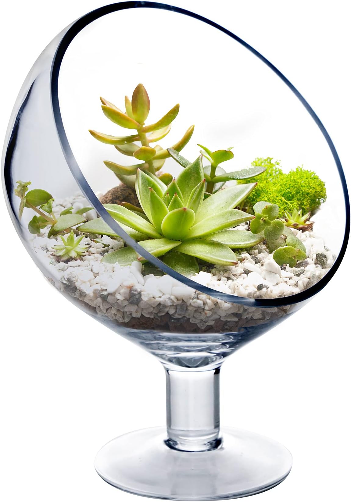 CYS EXCEL Glass Decorative Bowl (H:9" D:6.3") | Fruit Candy Buffet Display Bowl | Slant Cut Terrarium Bowl | Kitchen Table Centerpiece | Stemmed Pedestal Bowl