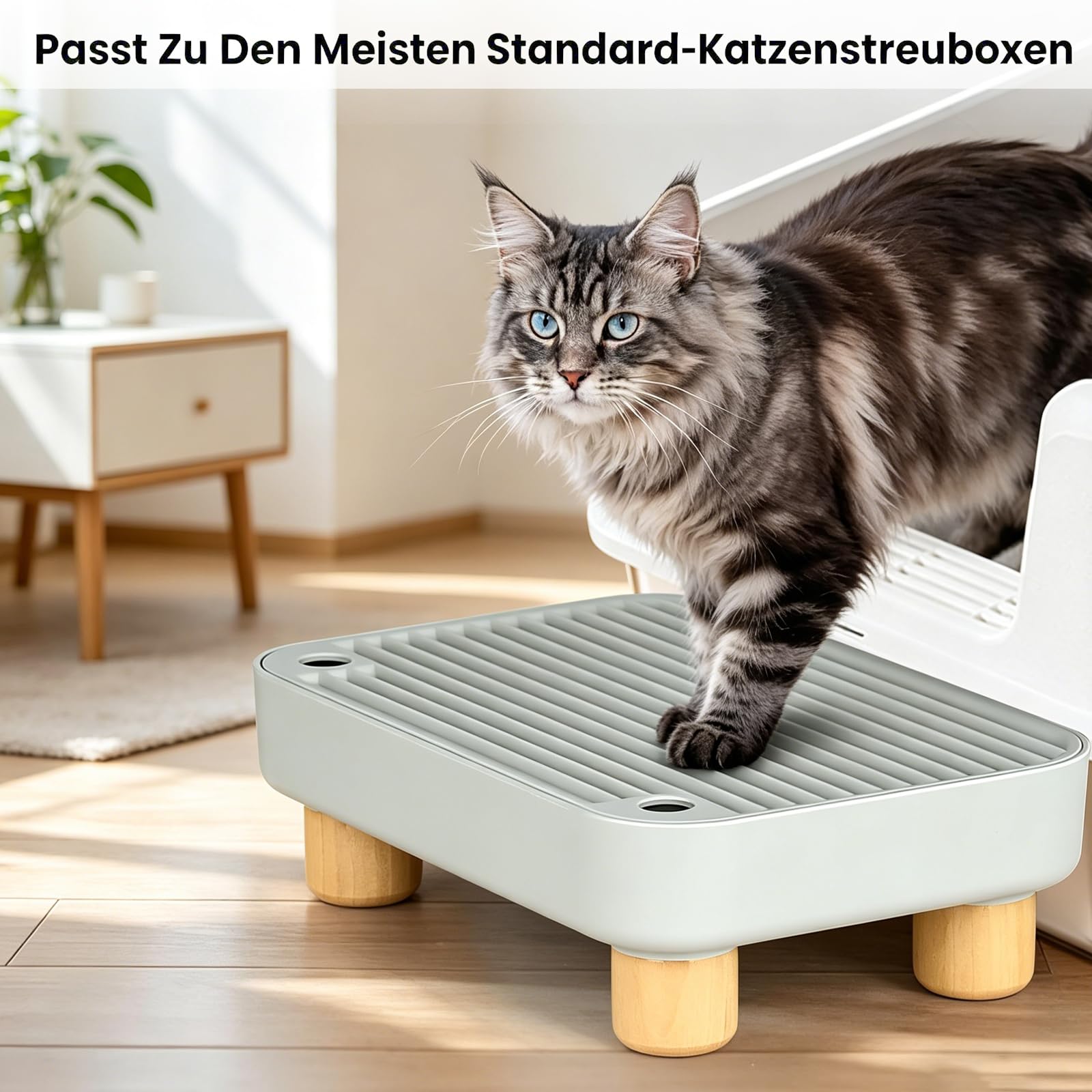 Katzenklo Rampe, Erhöhte Katzentreppe für Alte Katzen, 11.8×7.9×3.6 in Katzenklo Oben Einstieg für Kätzchen & ältere Katzen