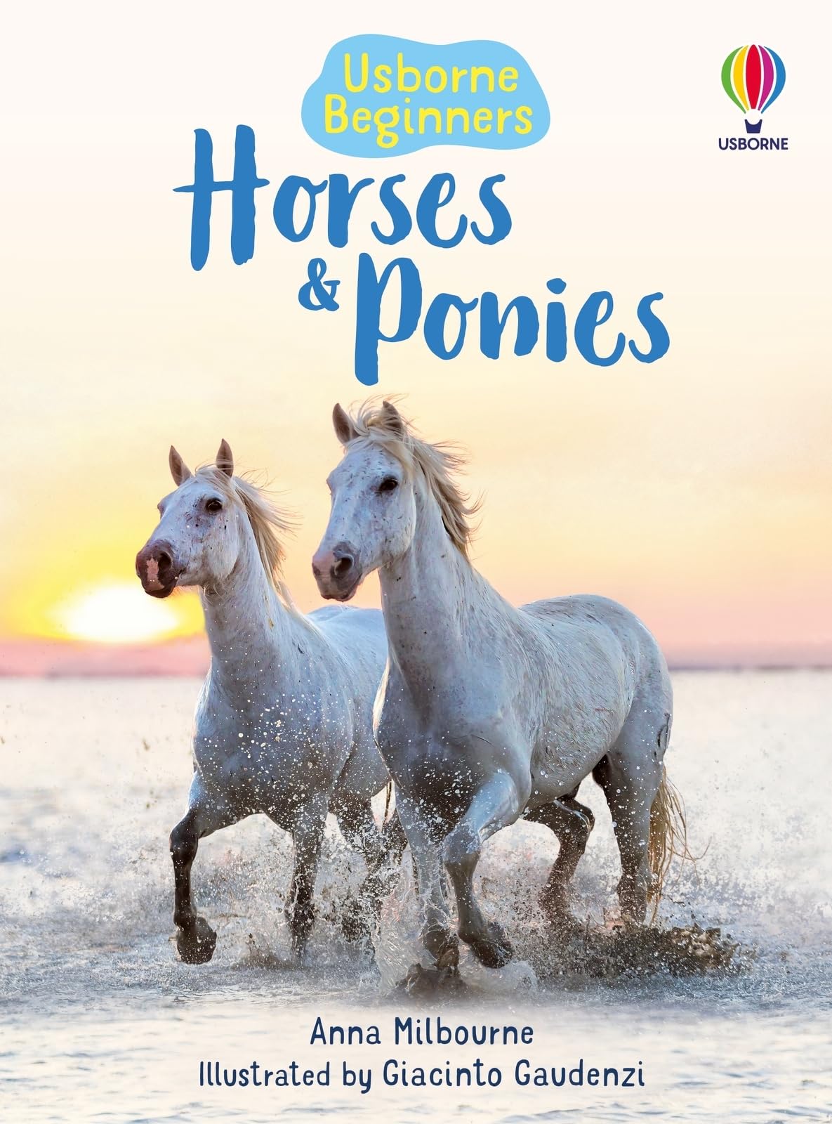 Horses and Ponies (Beginners)