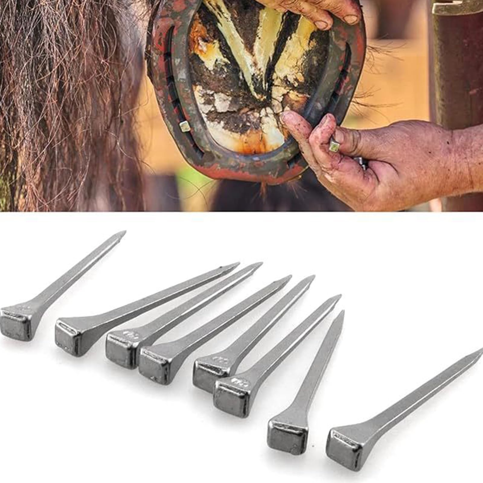 Chiodi Per Ferri Di Cavallo In Acciaio | 40 Pezzi 41mm | Per Maniscalchi E Stabili - Foto 7