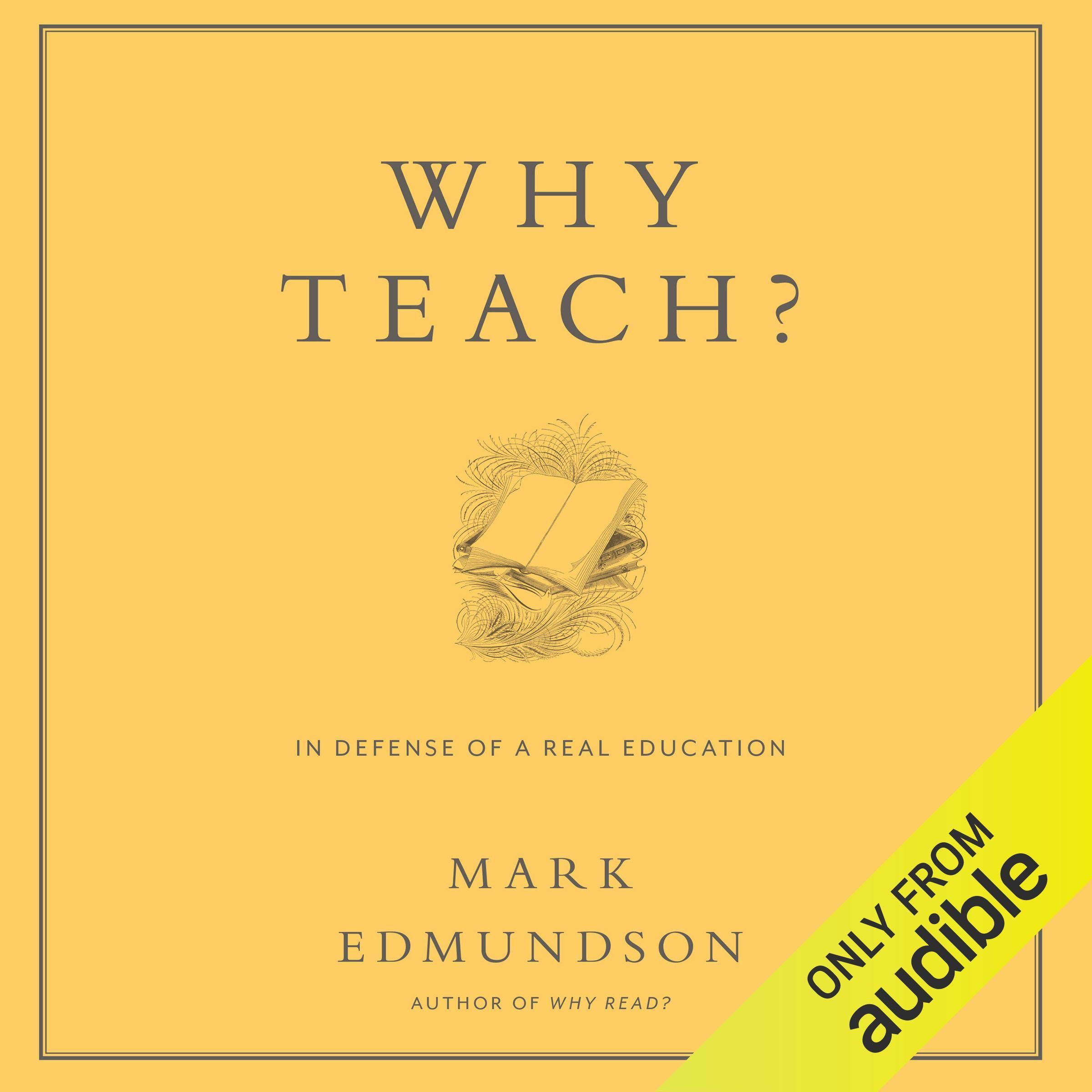 Cover art for Why Teach?