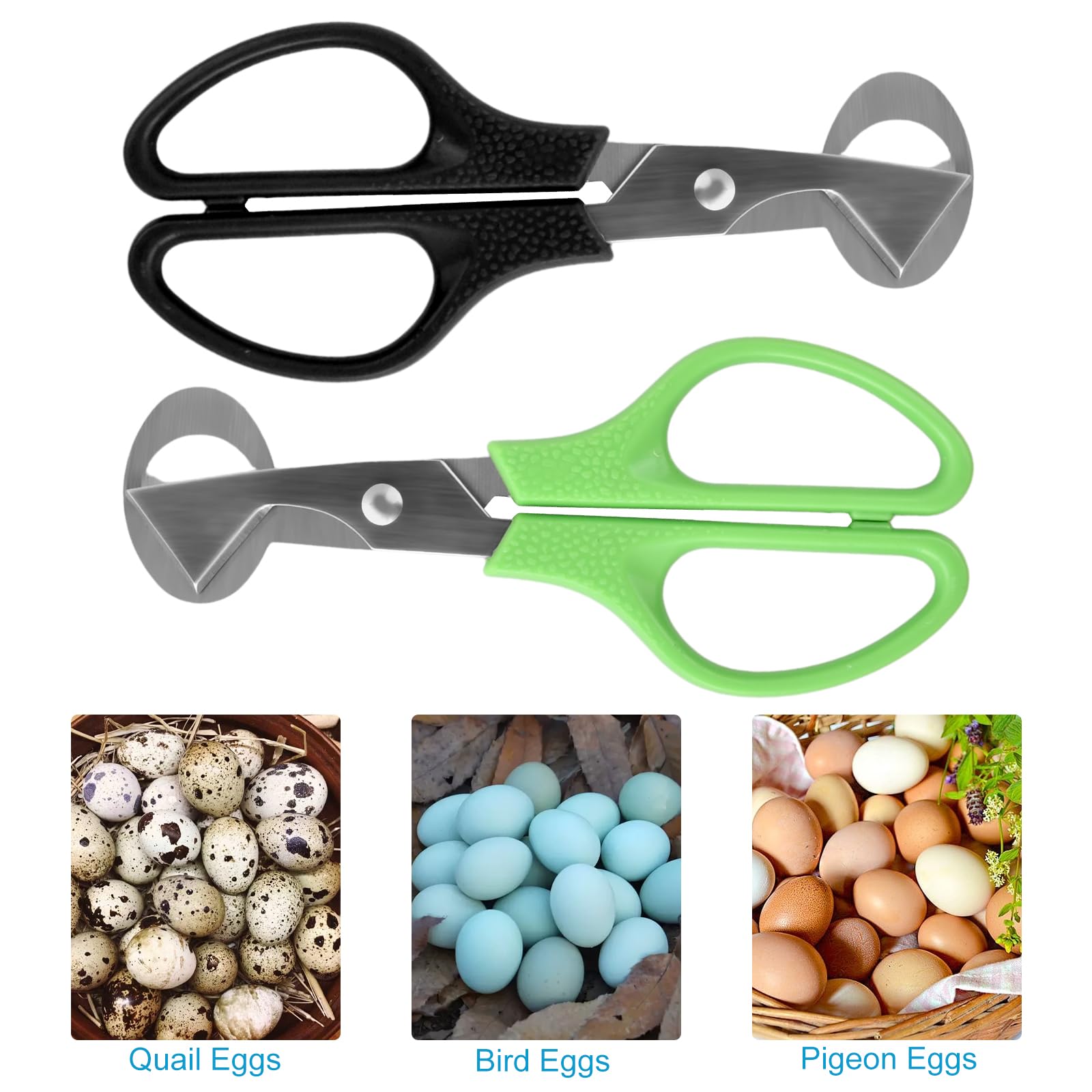 Tijeras Huevos de Codorniz de Acero Inoxidable, Cortador de Cáscara Huevo, Abridor de Huevos, Tijeras de Cocina, Negro, Verde