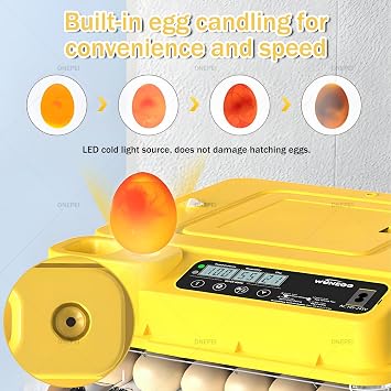 288 Egg Large Capacity Incubator, Automatic Egg Turning & Humidity Control, Includes Egg Candler, Day Counter & Automatic Water Filling System for Hatching 268Eggs