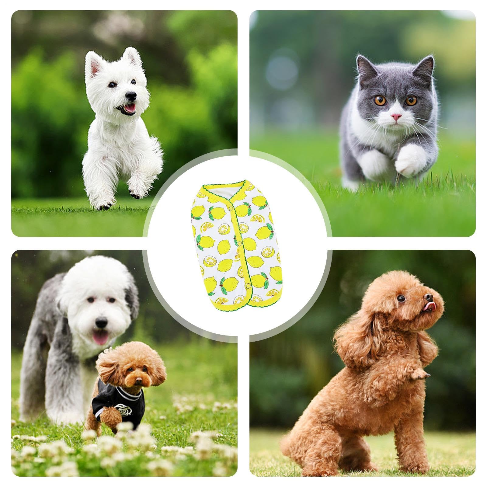 Süße ärmellose Sommerkleider Für Hund & Katze – 2er Set In Lila & Orange, Größe XS, Atmungsaktiv & Dehnbar