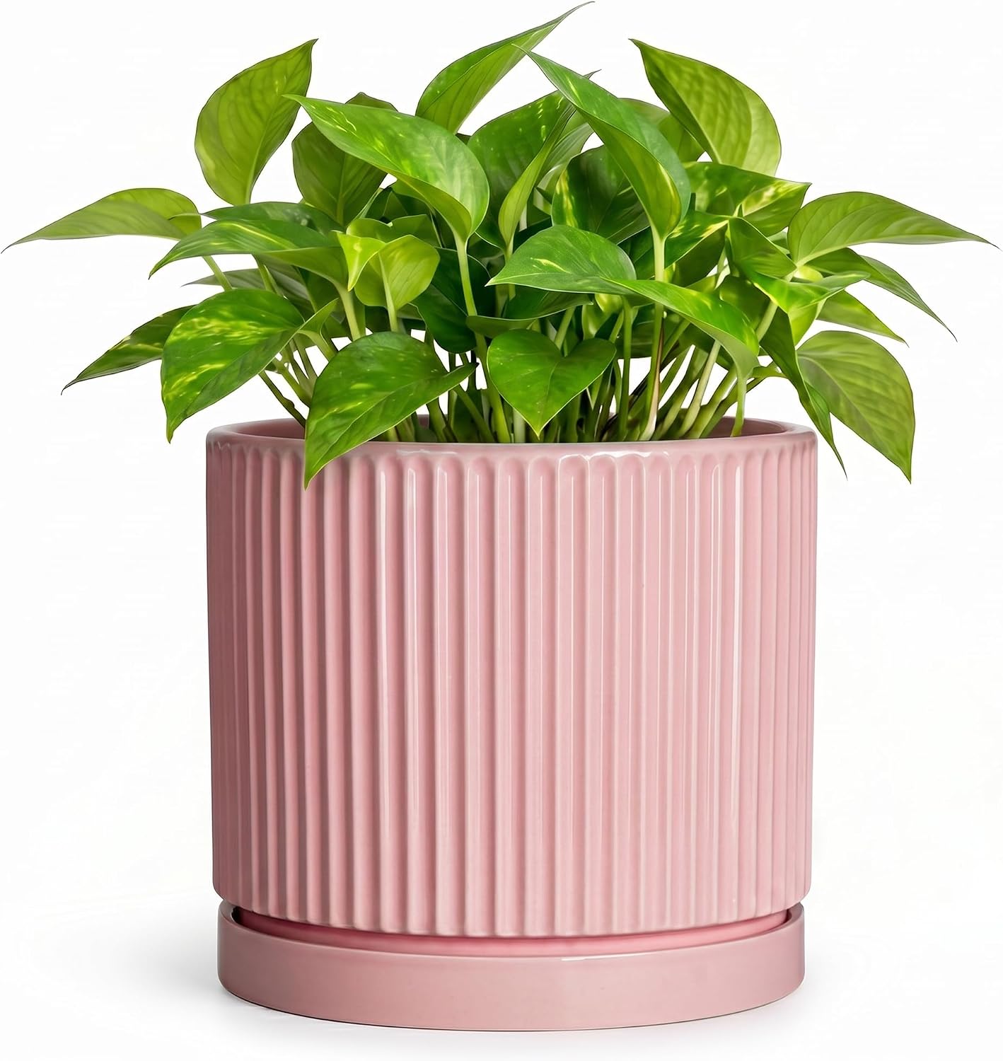6 Inch Ceramic Flower Pots, Round Plant Pots with Saucer, Pink