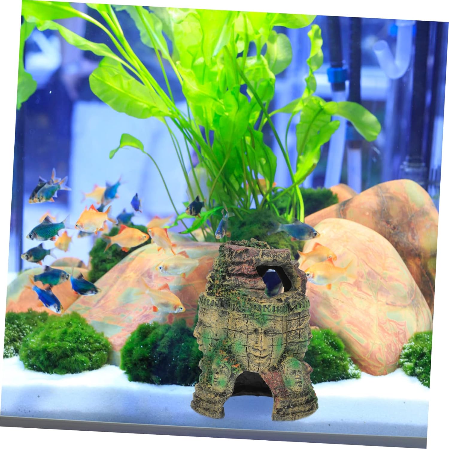 VANZACK Vivid Reptile Cave Terrarium Accessory Realistic Decorative Hideout for Snakes Lizards Spiders Material for Climbing Pets Creates Dark Environment for Comfort