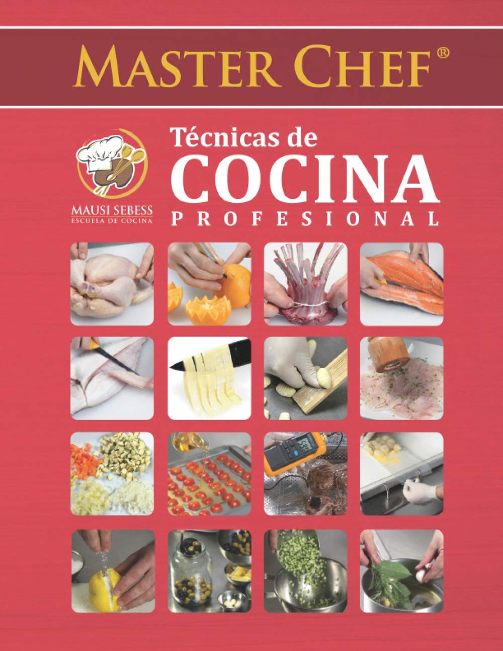 Master Chef Técnicas de Cocina Profesional