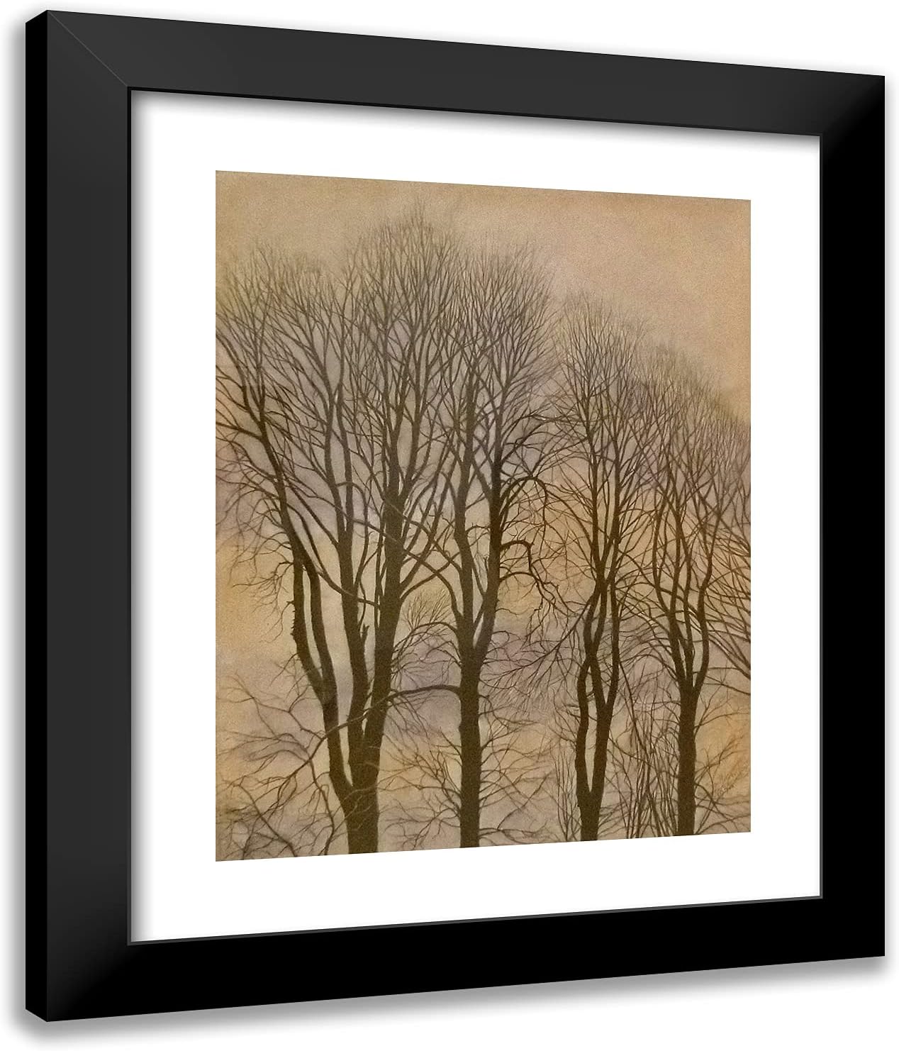 ArtDirect Spilliaert, Leon 20x24 Black Ornate Framed Art Print with Double Matting Titled: Tree and Sky