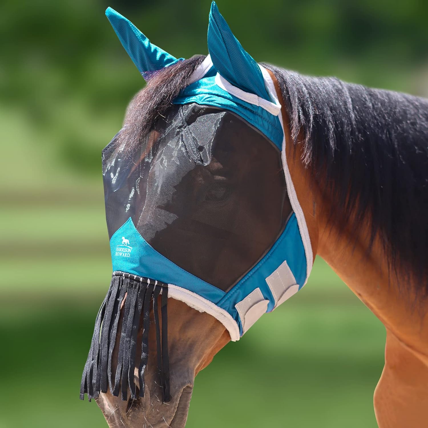 Harrison Howard CareMaster Horse Fly mask with Ears and Nose Fringe Fly Protector Defender Mask-Sky Blue : Pet Supplies