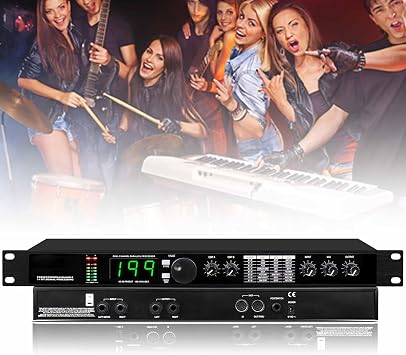 Audio Processor Equalizer, Professional Digital Reverb Multi Effect DSP Processor, Preset/Programmable 24 Bit Signal Processing, 99 Preset Programs, for Studio, Stage Performance