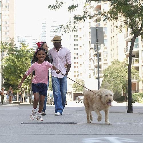 Vista 31 de Correa Coolrunner collar de entrenamiento para mascota de Cesar el encantador de perros, genérico, Azul
