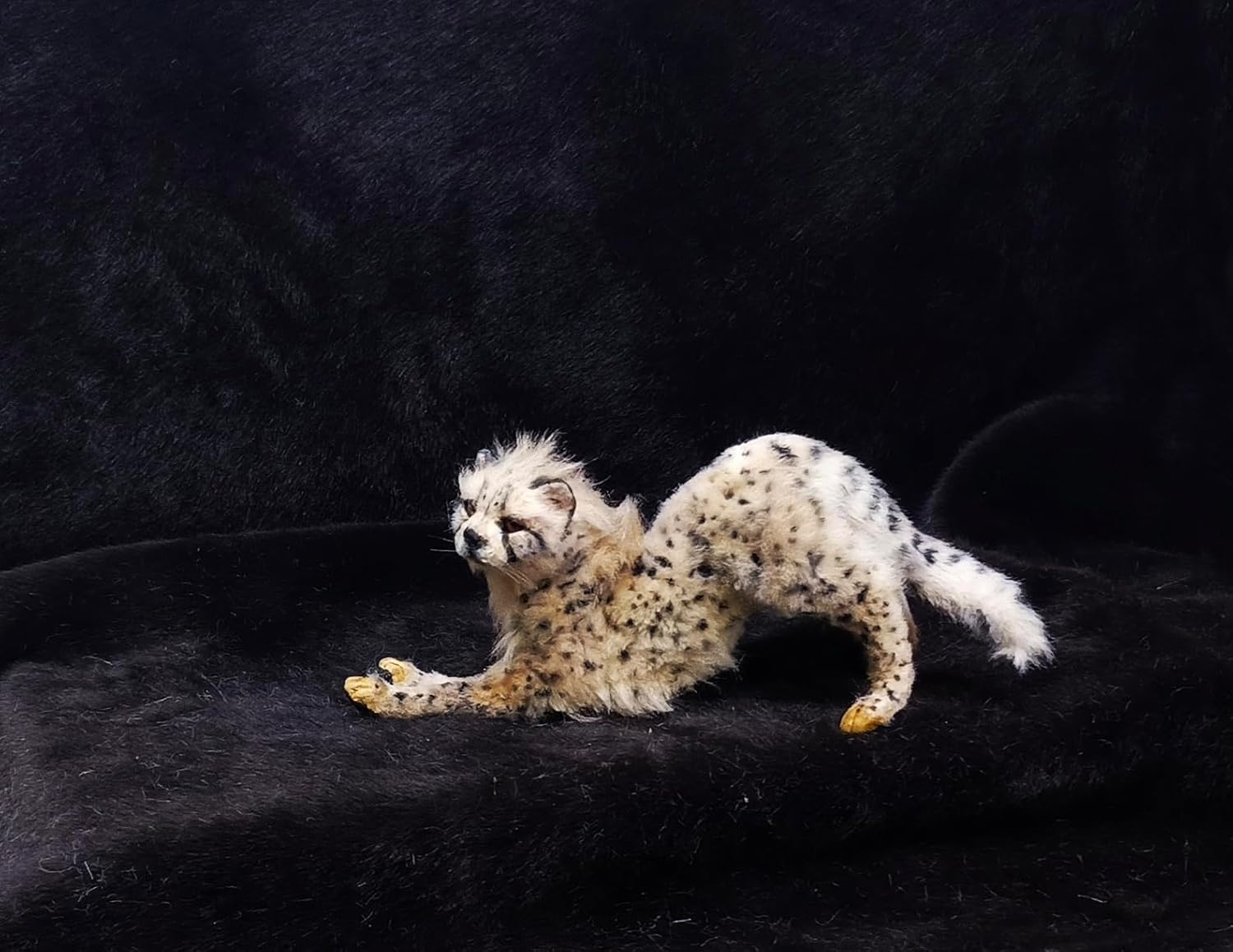 Wild Cat Cub Art Doll, Poseable Cheetah Kitten, Handmade Miniature Figure image 2