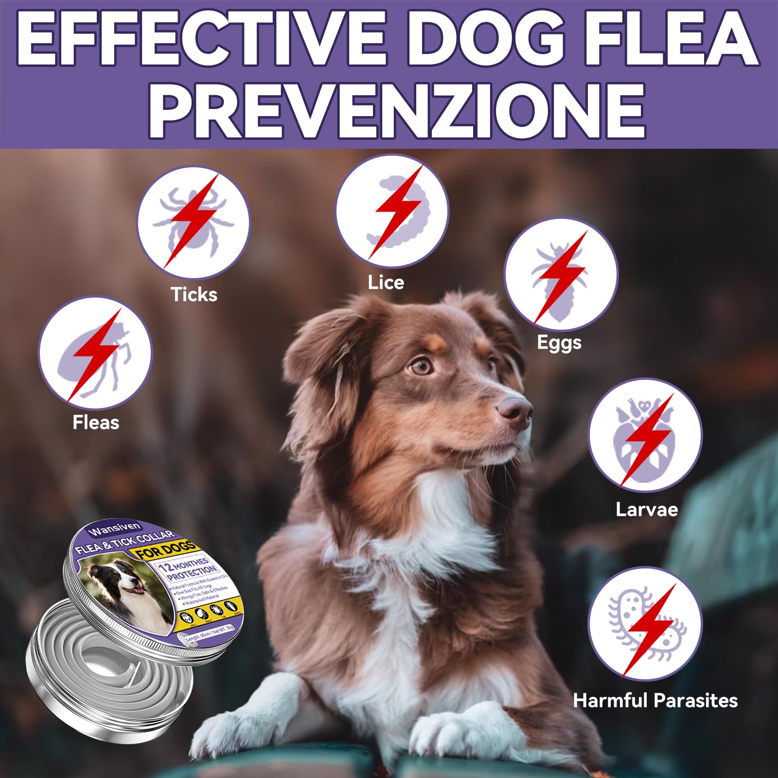 Wansiven Collari Antipulci per Cani, Collare Antipulci Regolabili da 65 cm, Protezione 12 Mesi