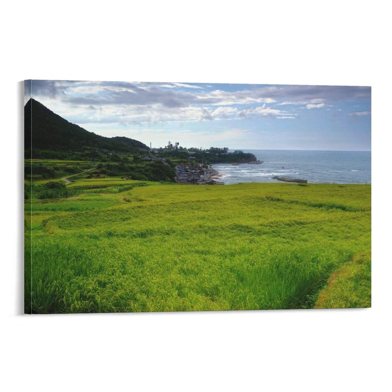 Amazon.co.jp: 絵画 京都府 晩夏の袖志の棚田インテリア 絵画