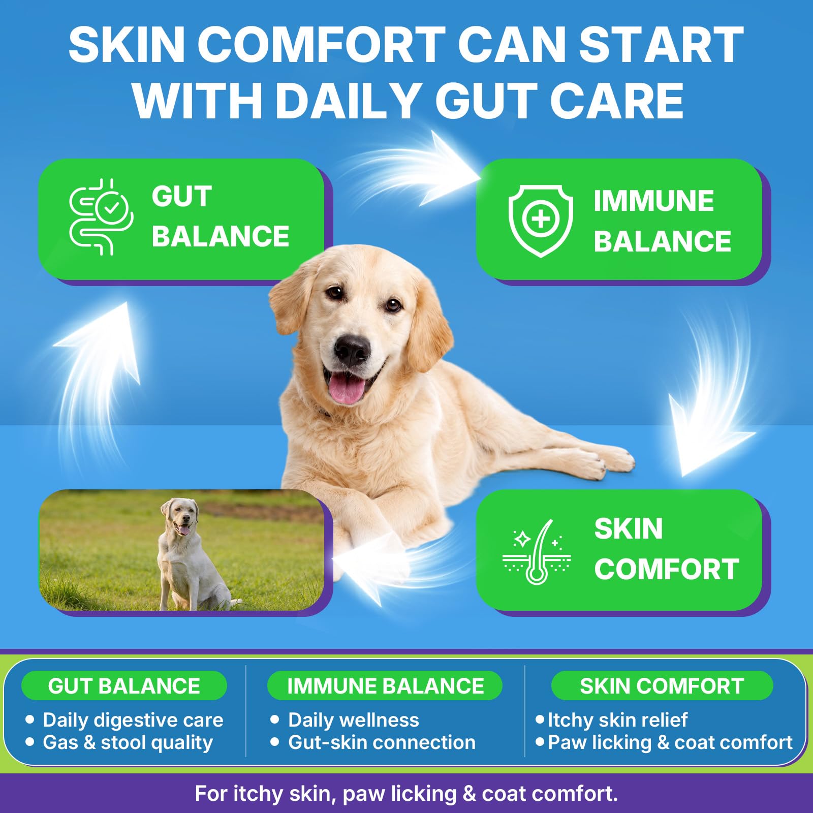 Probiotics for Dogs, Dog Probiotics for Yeast, Itchy Skin and Itchy Ears — Amazon image 5