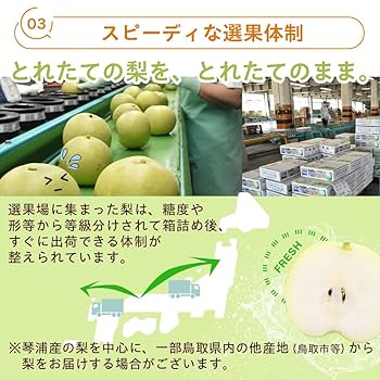Amazon.co.jp: 風味絶佳.山陰 梨 二十世紀梨（20世紀梨）5kg詰