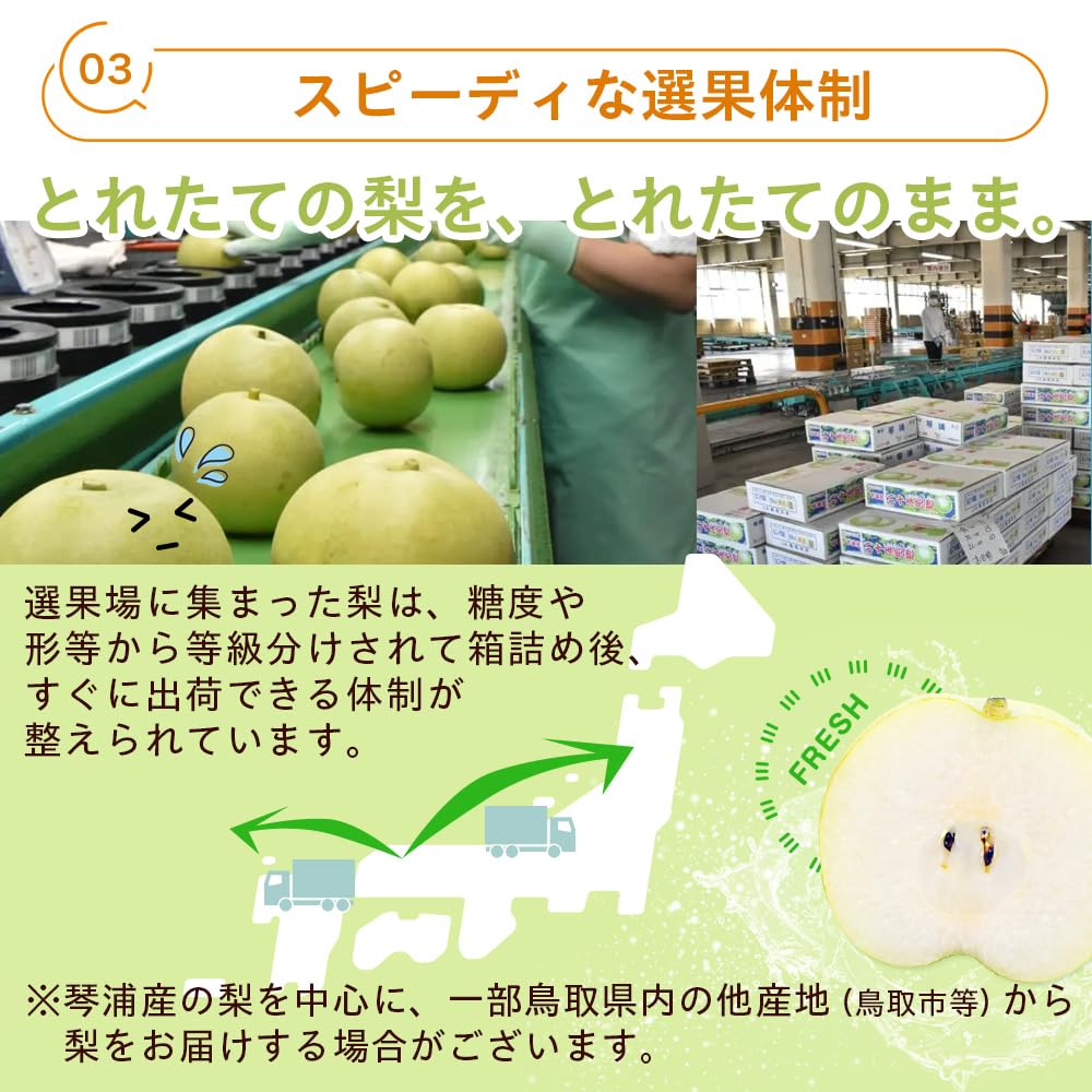 Amazon.co.jp: 風味絶佳.山陰 二十世紀梨（20世紀梨）5kg詰（14玉前後