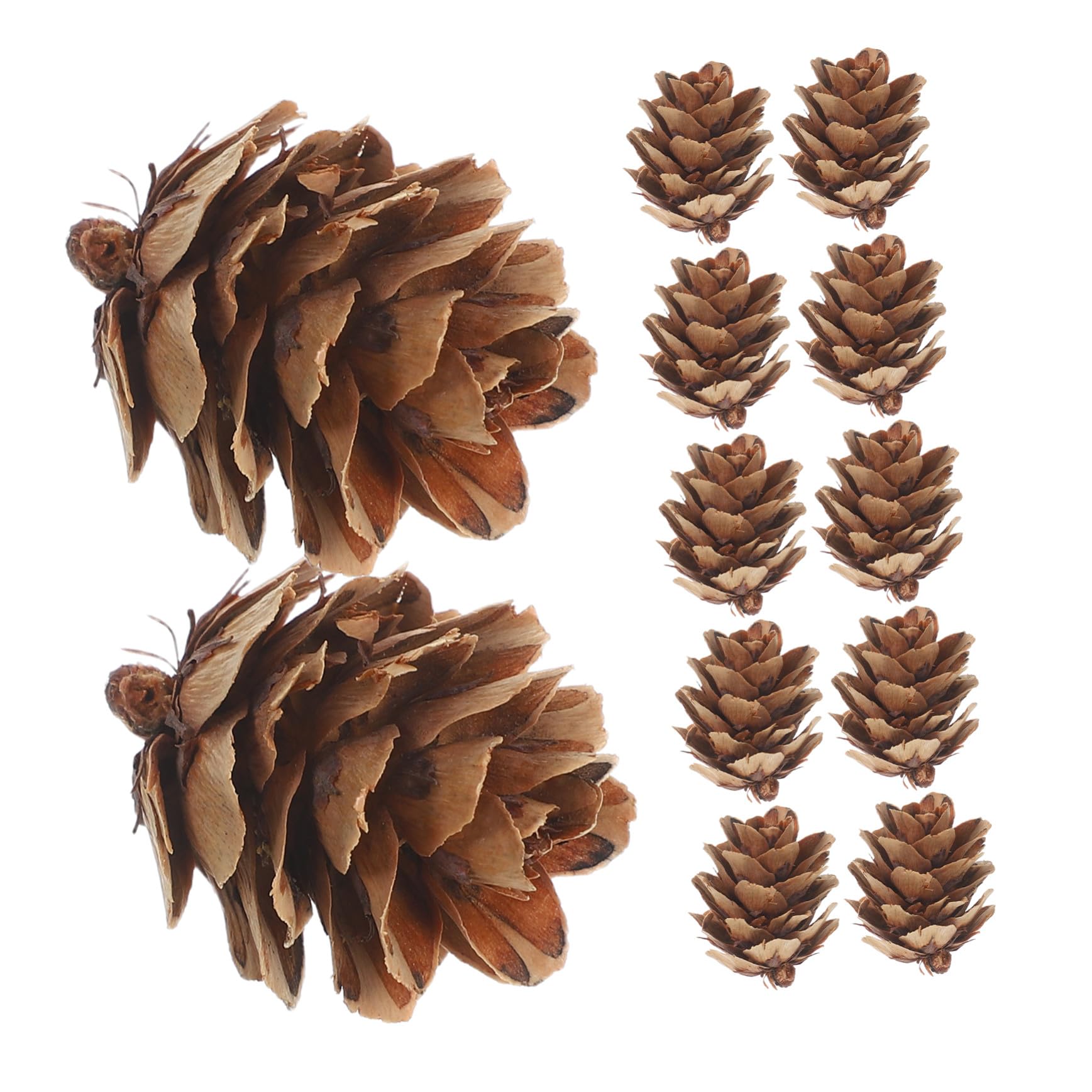 TOYANDONA Mini-tannenzapfen für Dekoration Natürliche Tannenzapfen für Weihnachtsdeko Bastel-tannenzapfen für DIY-projekte Tischdeko für Weihnachten Tannenzapfen für Kränze