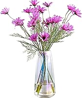 Vista 8 de FANTESTICRYAN Jarrón de Cristal Moderno de Vidrio Iridescente para Decoración de Hogar y Oficina (Cristal Transparente)