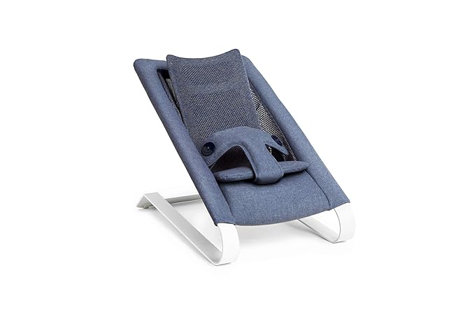 foldable bouncy chair