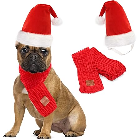 small dog santa hat