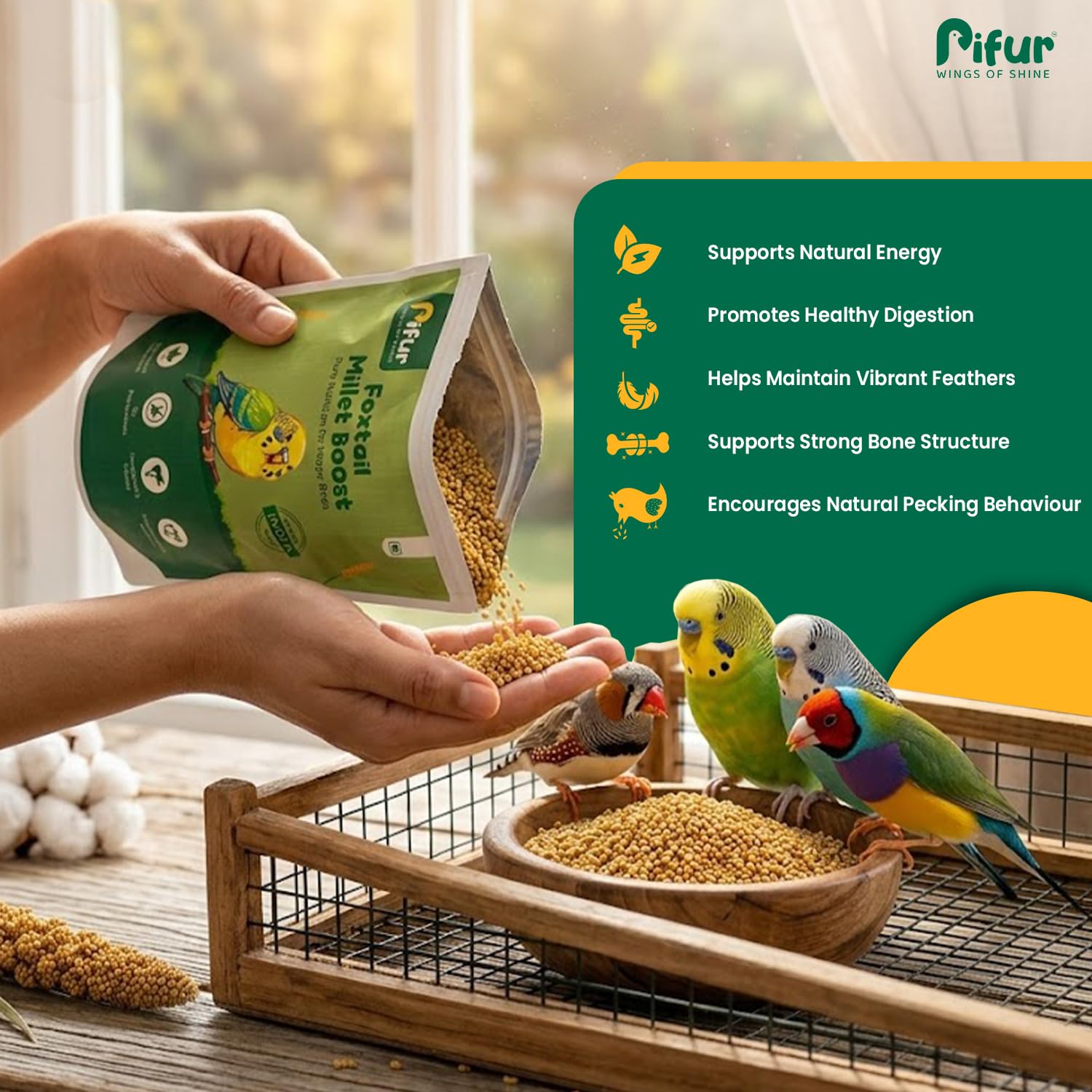 Pifur Foxtail Millet Seeds (450g) 1