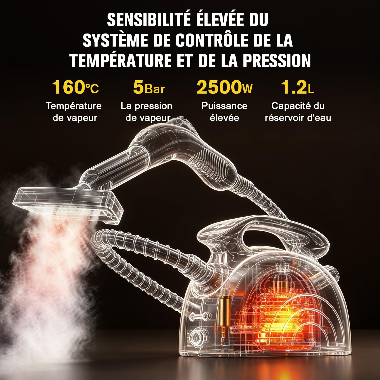 Waitbird Nettoyeur à Vapeur Manuel, 5 Bars, Vapeur 160 °C, 2500 W