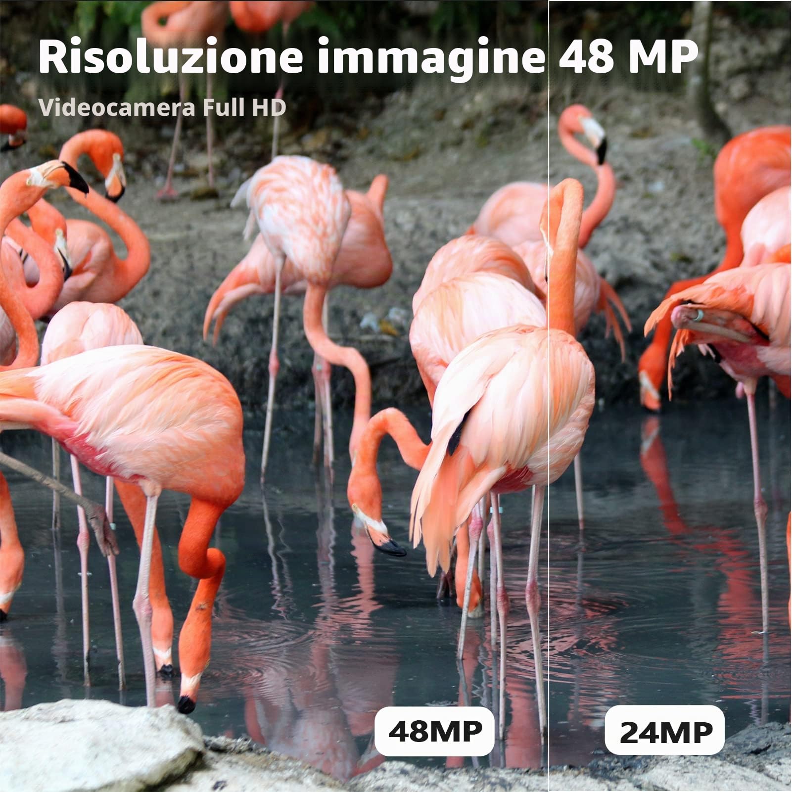 4K Fotocamera Digitale, Macchina Fotografica Digitale con 1080P 48MP Fotocamera, Zoom Digitale 8X, Schermo LCD, Luce di Riempimento Integrata, Mini Fotocamere Portatili Compatte per Studenti