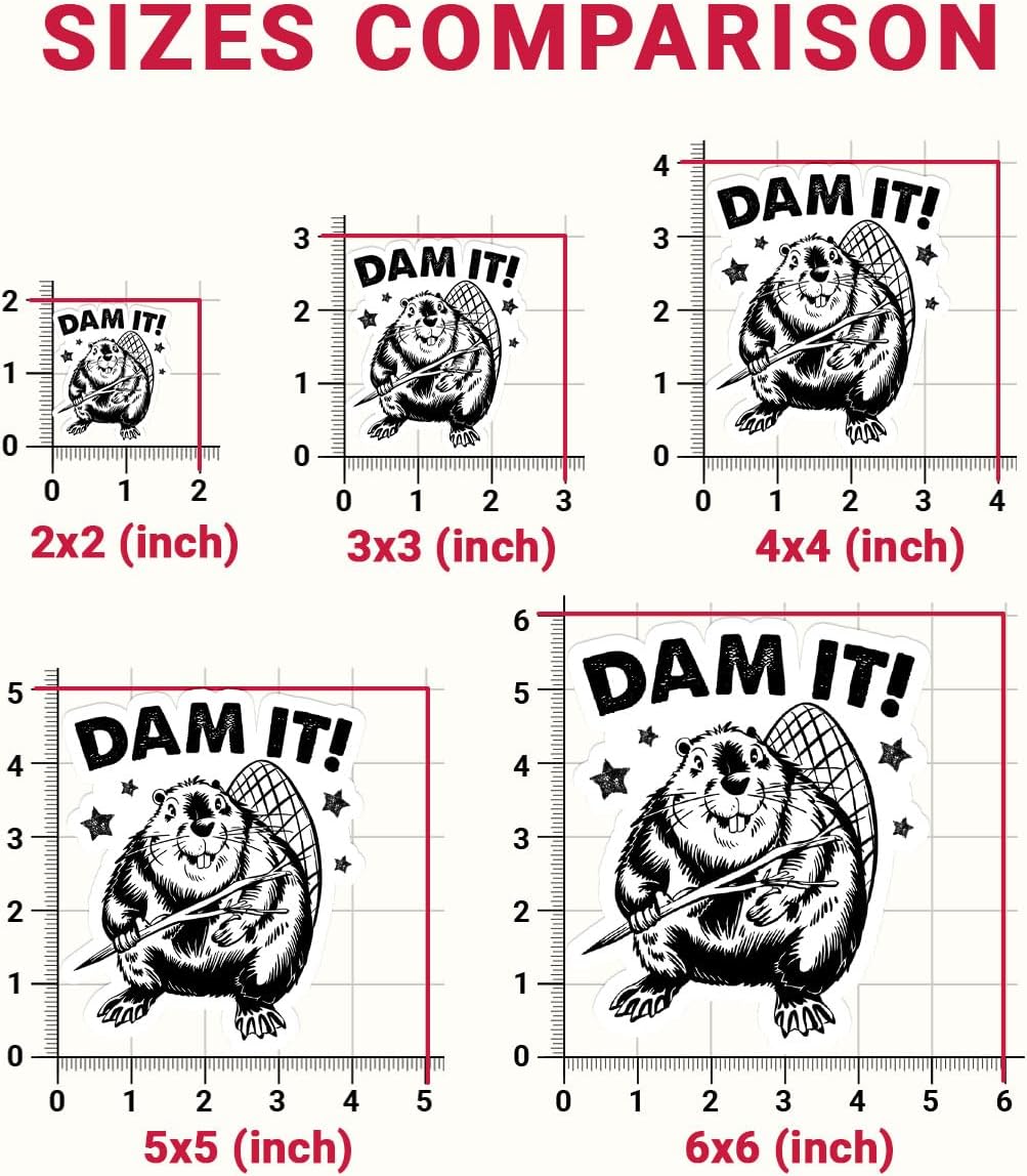 3Pcs Dam It Beaver Sticker Funny Beaver Humor Fans Gift for Animal Lovers image 5