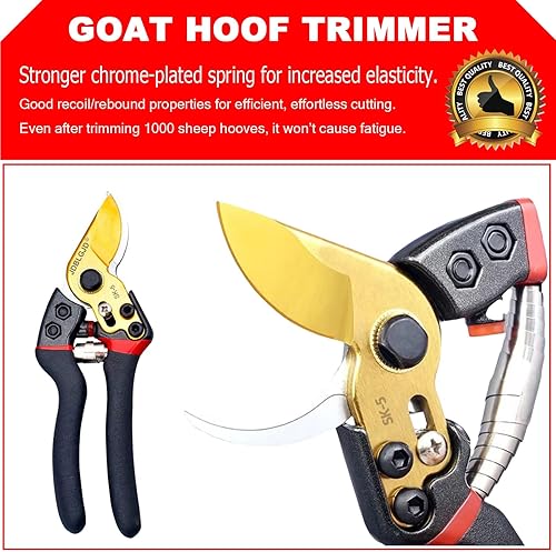 Miniatura 2 de Herramientas de herrador, kits de herramientas de herrador de 8 pulgadas (8 piezas) Afiladores de pezuña de cabra Afilador Mini Rasp Hoof File Cabra