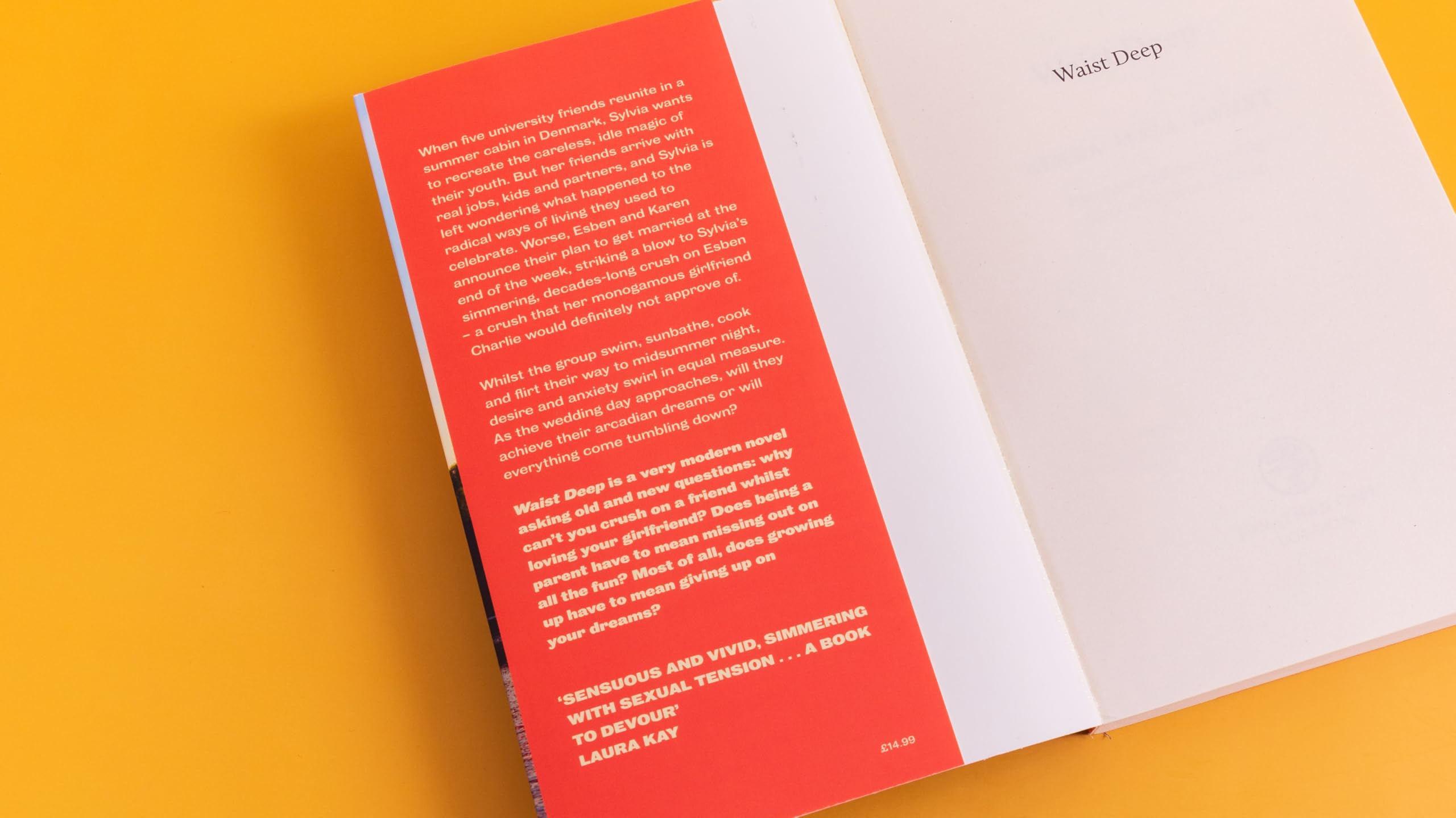 Waist Deep: Discover the Scandinavian sensation and hottest read of 2026