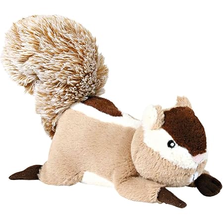 squeaky squirrel dog toy