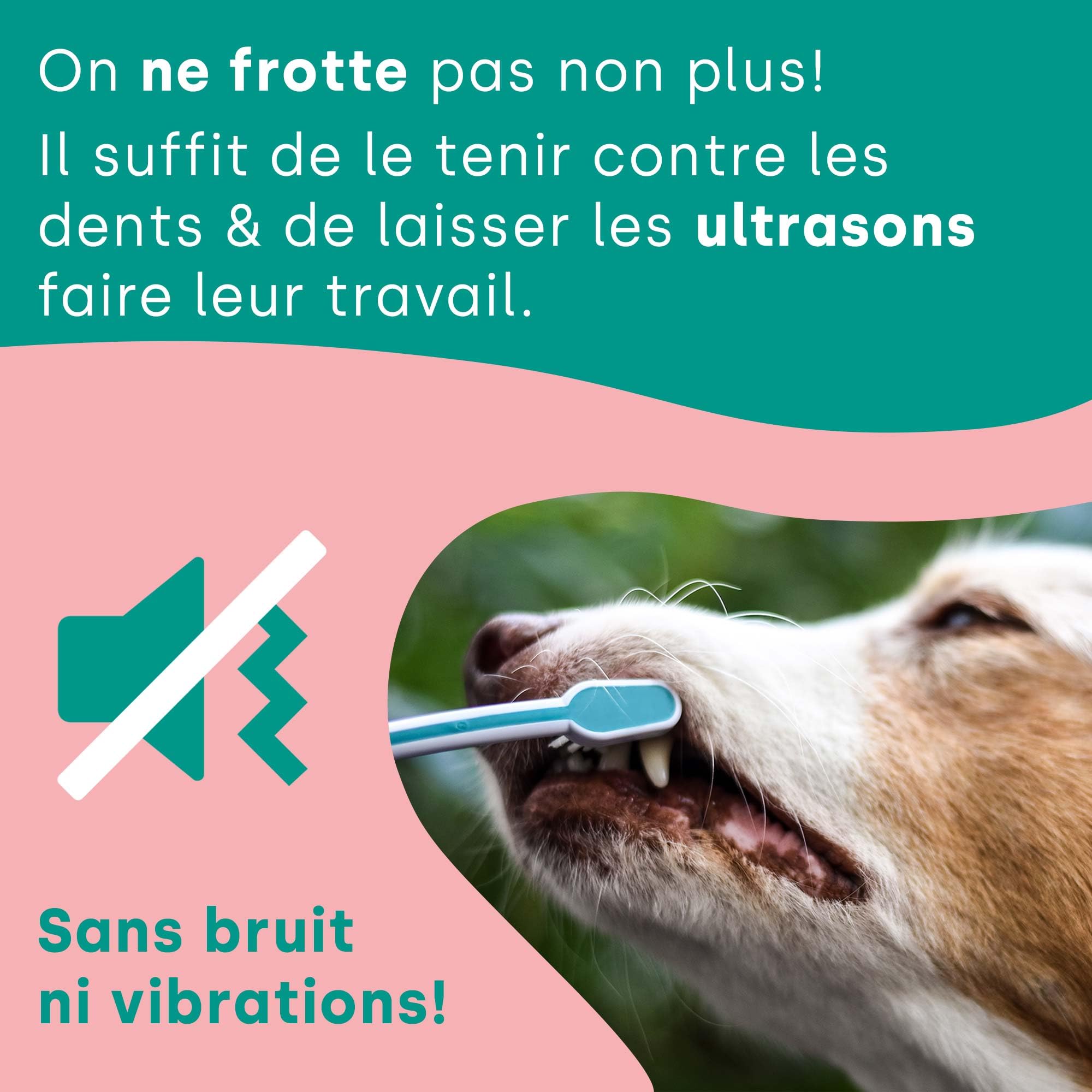 emmi-pet PRO Brosse à dents ultrasonique pour chiens - Brosse à dents silencieuse pour chiens et chats sans frottement avec 96 millions de vibrations - Prévient le tartre et les inflammations