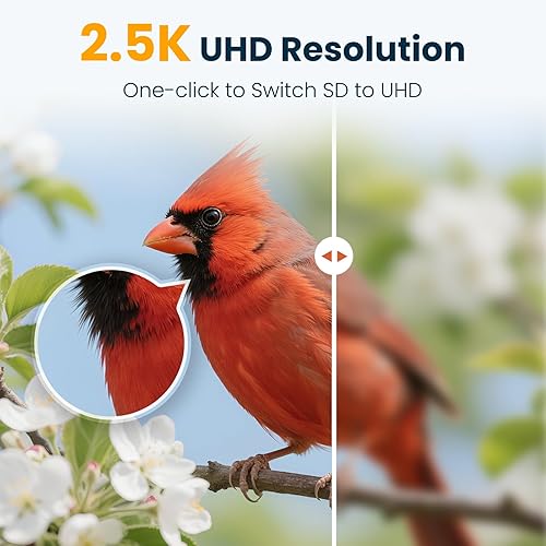 Miniatura 7 de Comedero inteligente para pájaros con cámara, cámara de alimentación de pájaros UHD de 2.5 K con energía solar, identificación AI sensible, video de